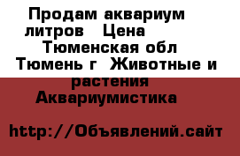 Продам аквариум 75 литров › Цена ­ 3 500 - Тюменская обл., Тюмень г. Животные и растения » Аквариумистика   